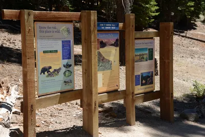 DSC_3741 (Large).JPG